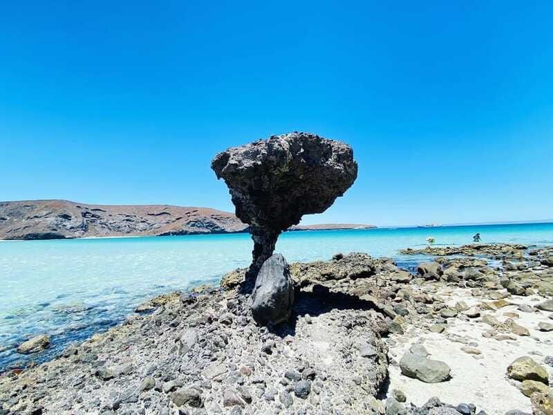 From Cabo/San José del Cabo: La Paz, Balandra & Todos Santos - The guide experience: why the human part matters on a long day