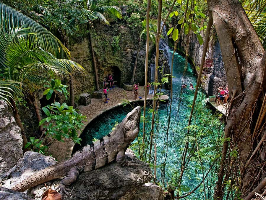 From Cancun: Complete Combo to Xcaret Park! - Why Xcaret is more than a Cancun day trip