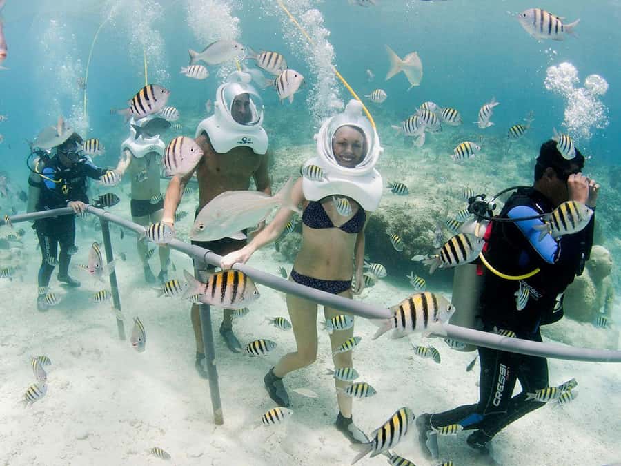 From Cancun: Complete Combo to Xcaret Park! - Inside Xcaret Park: beaches, natural pools, and Kids World