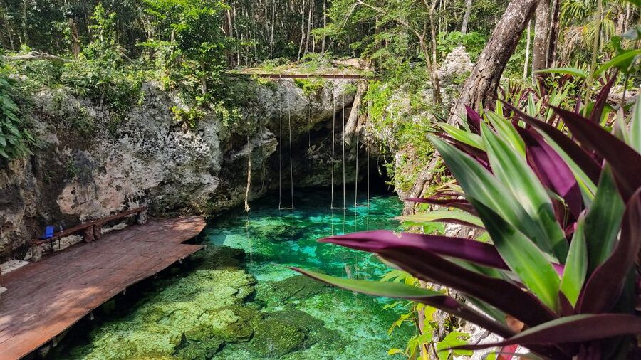 From Cancun: Day Trip to Tulum, Cenote & Playa del Carmen - Who This Tour Fits Best (And Who Should Look Elsewhere)
