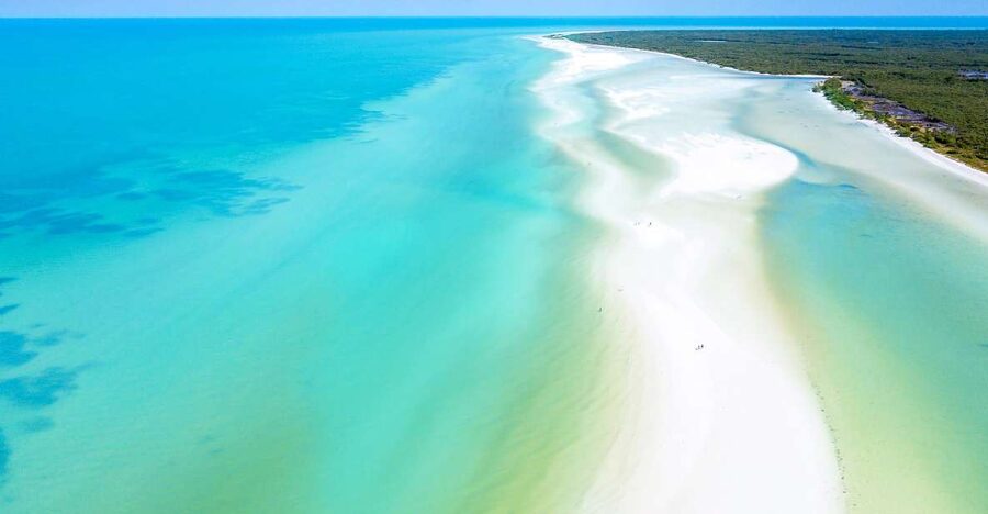 From Cancun or Puerto Morelos: Holbox Boat Tour with Lunch - Key things I’d circle on your map