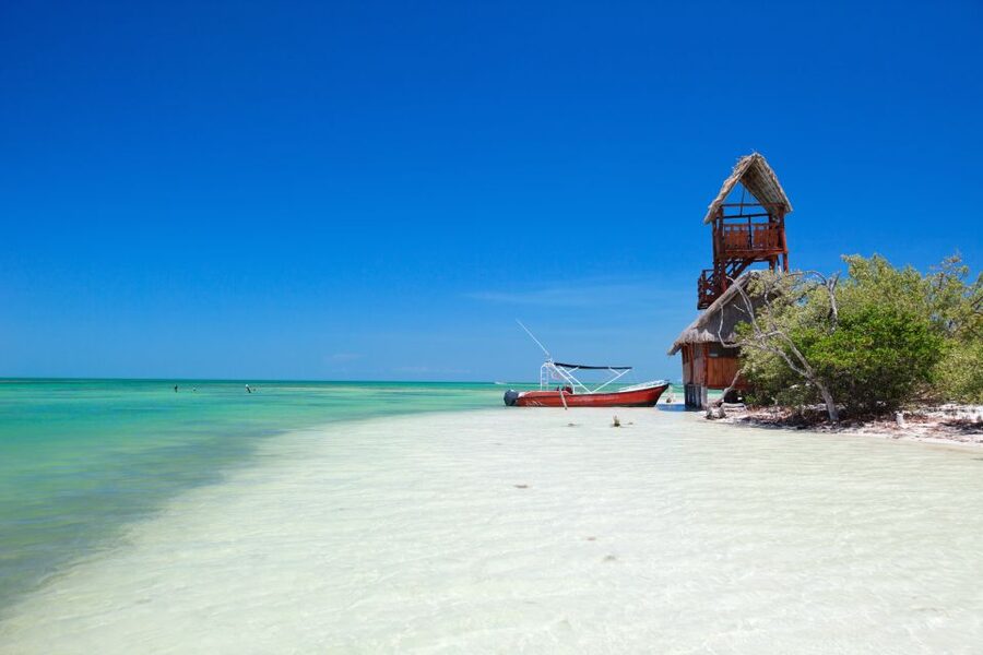 From Cancun or Puerto Morelos: Holbox Boat Tour with Lunch - YalahauCenote, Hoyo Negro Yalahau, and Laguna Yalahau: what to expect