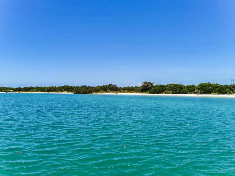 From Cancún: Rio Lagartos & Las Coloradas Day Trip & Lunch - Key things that make this trip worth your time