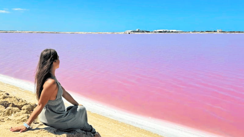 From Cancún: Rio Lagartos & Las Coloradas Day Trip & Lunch - Comfort and logistics tips that make the day easier