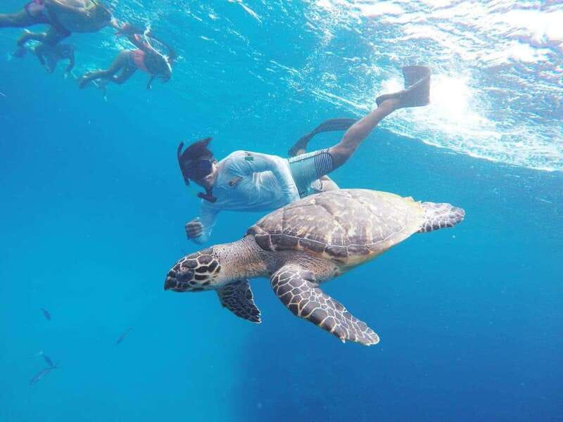 From Cozumel: 3 Reefs Boat Tour with Drinks and Snorkeling - Palancar Reef: where deeper water can mean bigger sightings