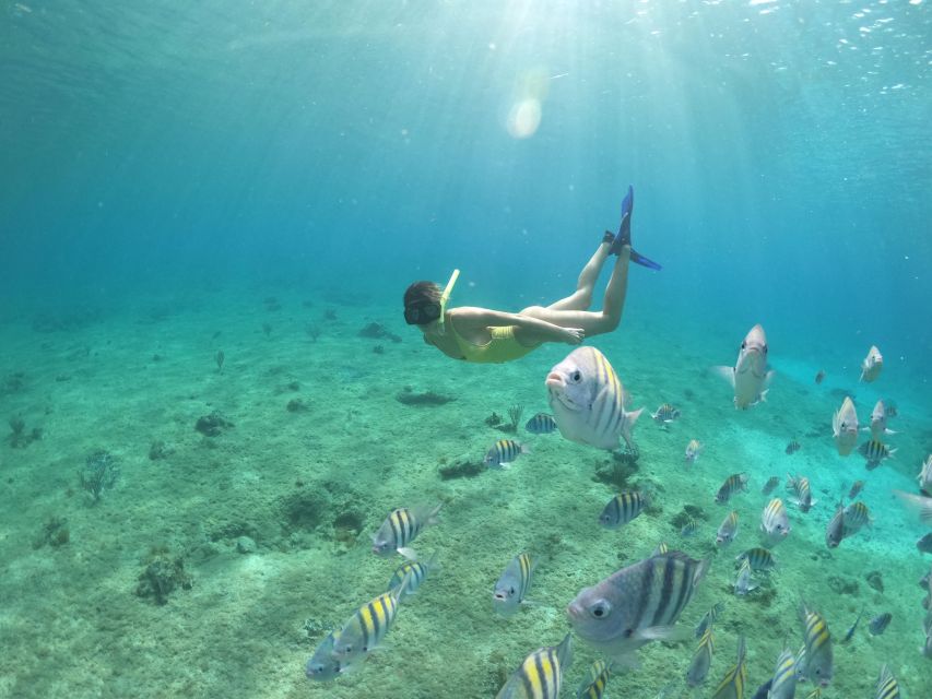 From Cozumel: 3 Reefs Boat Tour with Drinks and Snorkeling - Columbia Reef and the sandy-bottom magic of starfish