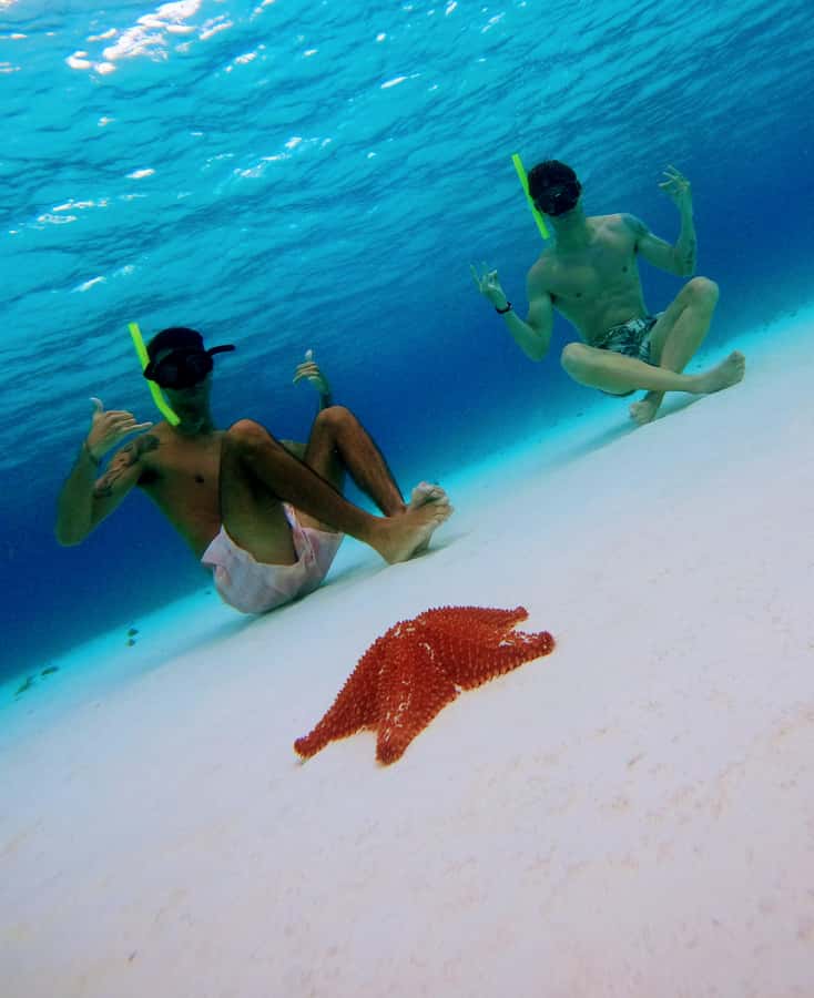 From Cozumel: Starfish, Stingrays & El Cielo Beach Snorkel - Snorkel Gear, Masks, and Simple Tips That Make It Easier