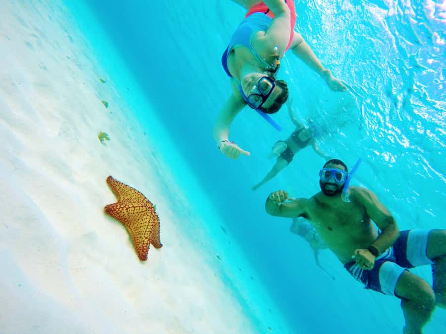 From Cozumel: Starfish, Stingrays & El Cielo Beach Snorkel - First Look: Why This Cozumel Snorkel Combo Feels Different