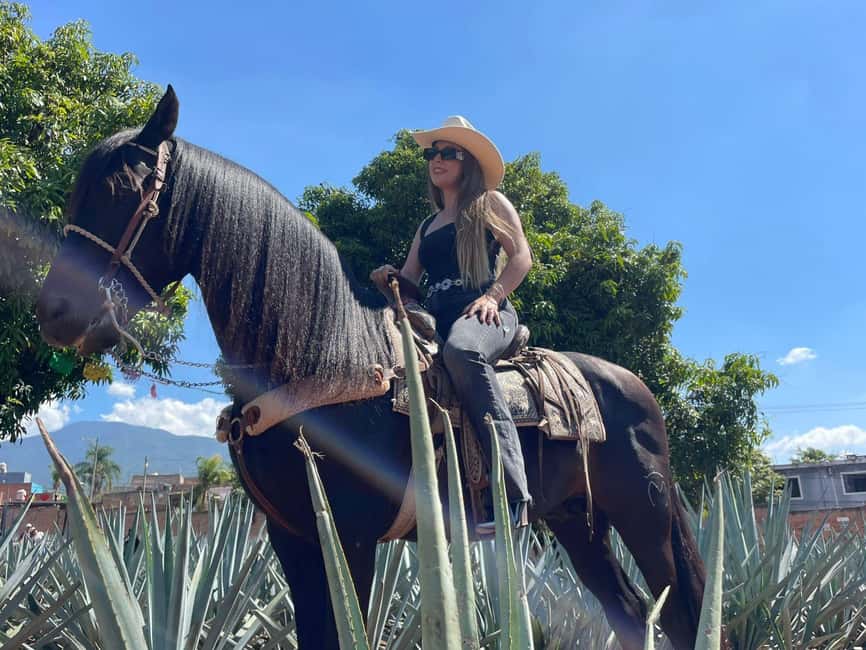 From Guadalajara: Tequila Town and Cantaritos El Guero - Key things to love on this Guadalajara to Tequila tour