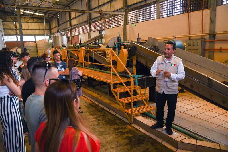 From Guadalajara: Tequila Trail Tour with Tasting - First Pickup From Minerva to Agave Country, in One Organized Day