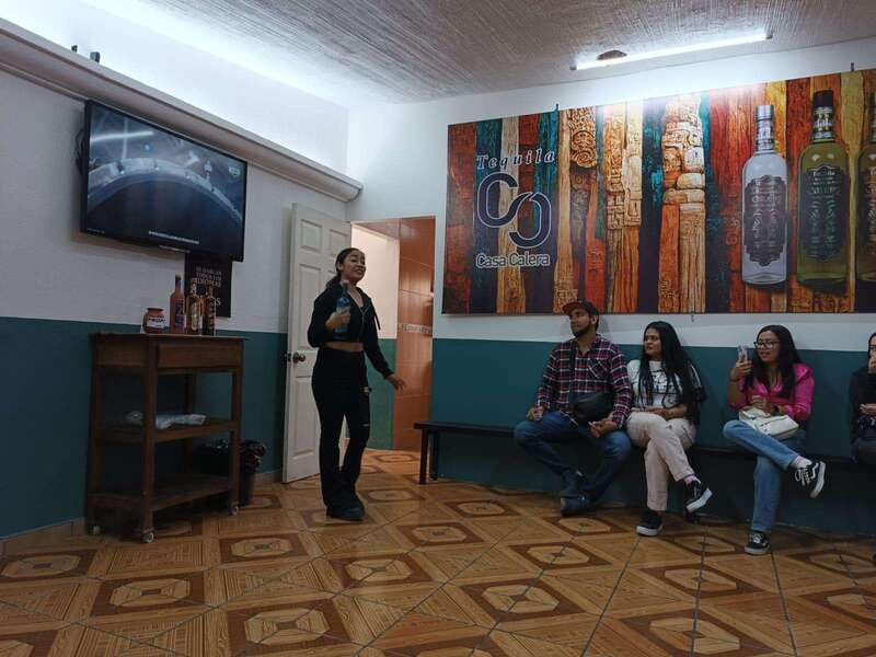 From Guadalajara to Chapala Lake: Funny and cultural tour - Logistics, timing, and how to avoid a rough day
