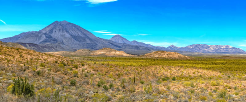 From Los Cabos: City Tour La Paz, Balandra and Todos Santos - Coromuel Beach: an easy hour in palm shade