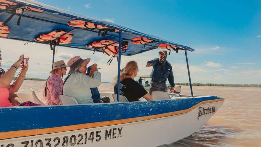 From Merida to Celestún: Biosphere, Flamingos & Beach Escape - Ria Celestún Biosphere Reserve: flamingos, mangroves, and a boat cruise you can hear
