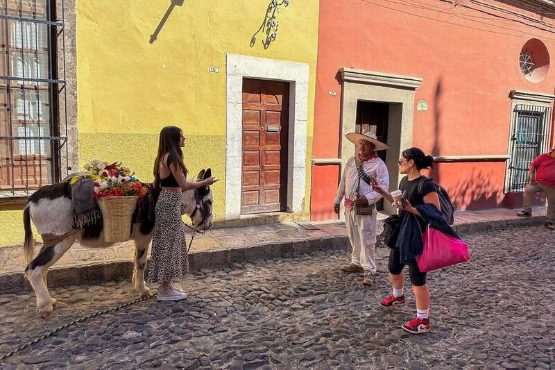 From Mexico City: San Miguel de Allende Day Trip - Key things that make this tour worth your time