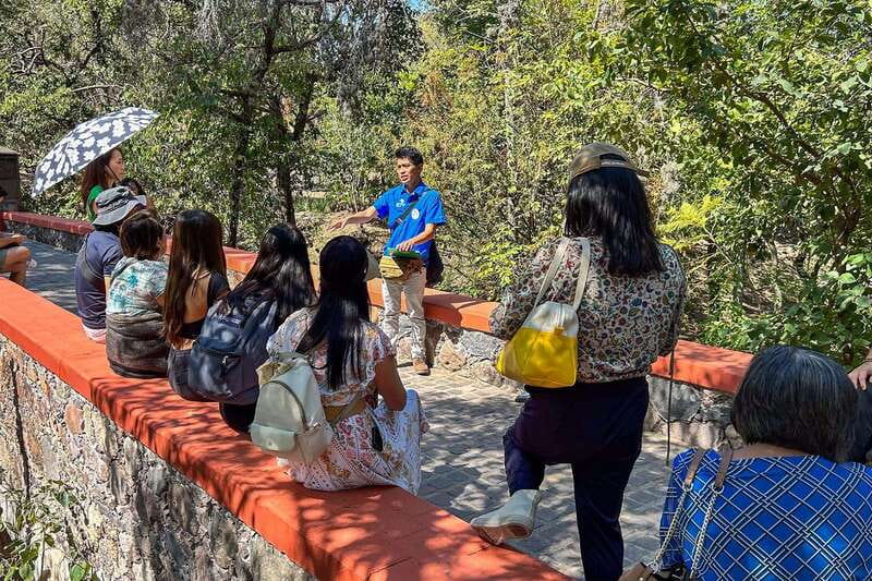 From Mexico City: San Miguel de Allende Day Trip - Free time for lunch and wandering: plan it, or time disappears
