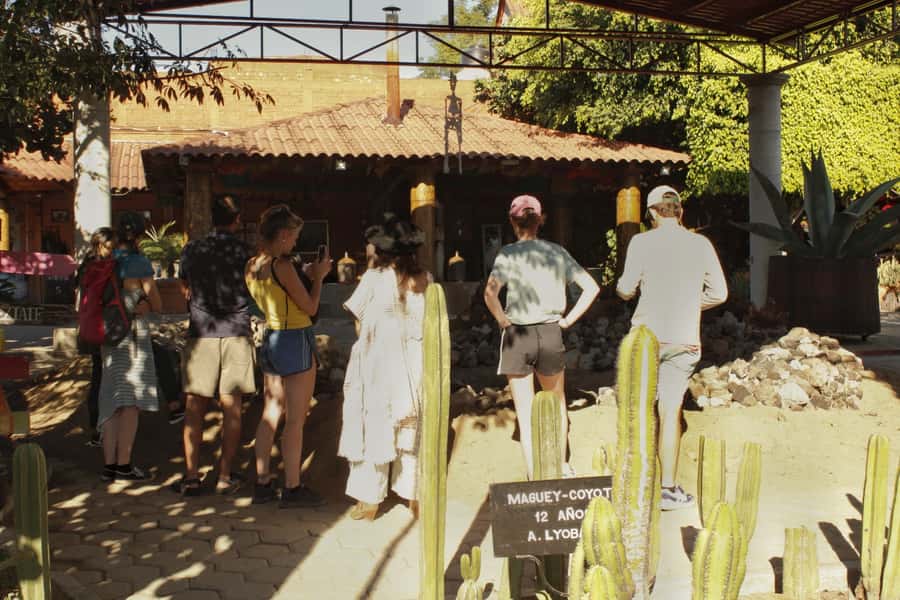 From Oaxaca de Juarez: Hierve el Agua and Mezcal Distillery - Hierve el Agua: Petrified Waterfalls, Hike Options, and Natural Pools
