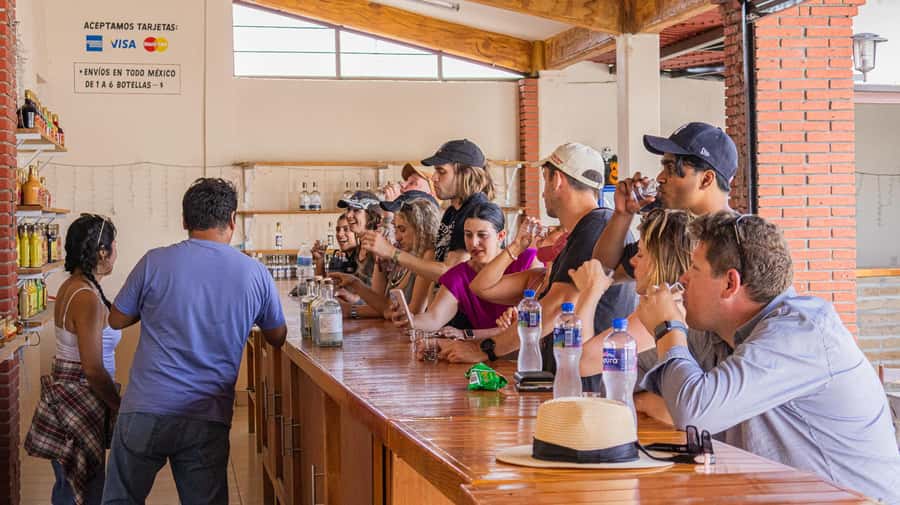 From Oaxaca de Juarez: Hierve el Agua and Mezcal Distillery - Who This Tour Fits Best