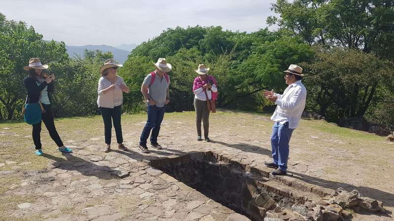 From Oaxaca: Monte Alban, Alebrijes & Black Clay Day Trip - Who this tour is best for (and who should skip it)
