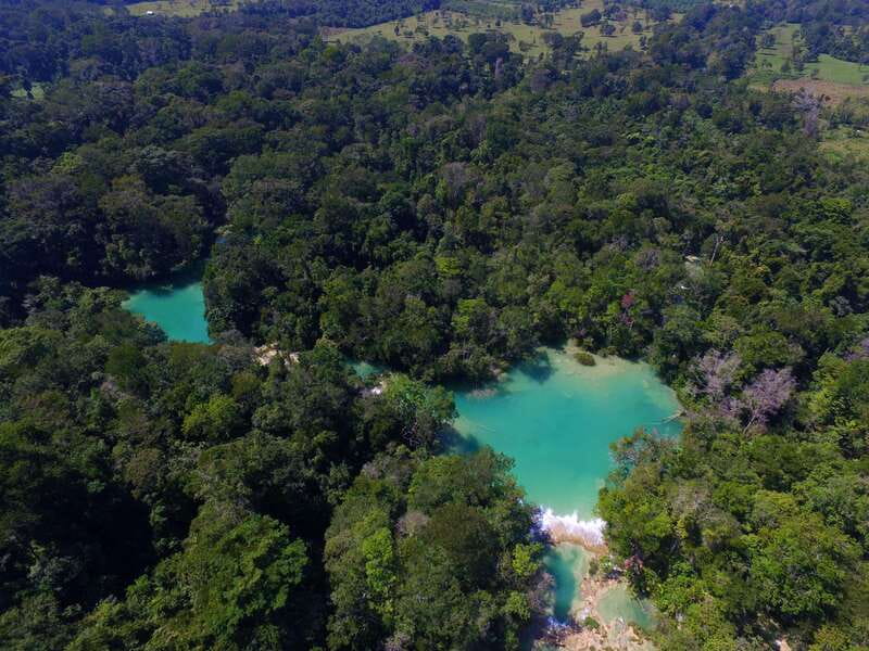 From Palenque: Palenque Ruins and waterfalls Roberto Barrios - Who This Trip Suits Best