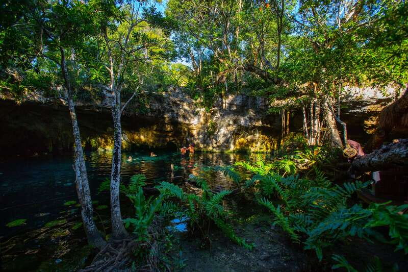 From Riviera Maya: 3 Cenotes Adventure Tour with Lunch - Small group, timed flow, and round-trip Tulum pickup