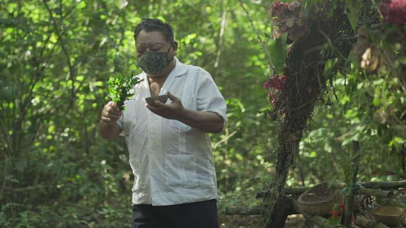 From Riviera Maya: Coba, Punta Laguna & Cenote Guided Trip - Punta Laguna Monkey Sanctuary: Jungle Walking and Optional Zip-Line