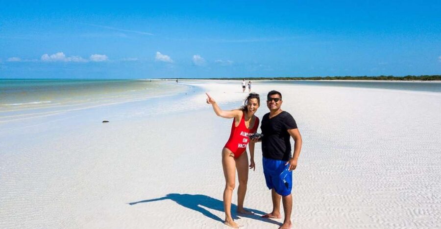 From Riviera Maya: Holbox Full-Day Tour with Lunch - Key highlights you should plan around