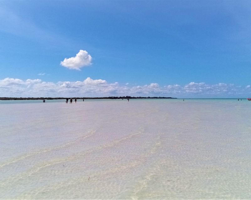 From Riviera Maya: Holbox Full-Day Tour with Lunch - Isla Holbox free time: 2 hours to wander and how to use it well