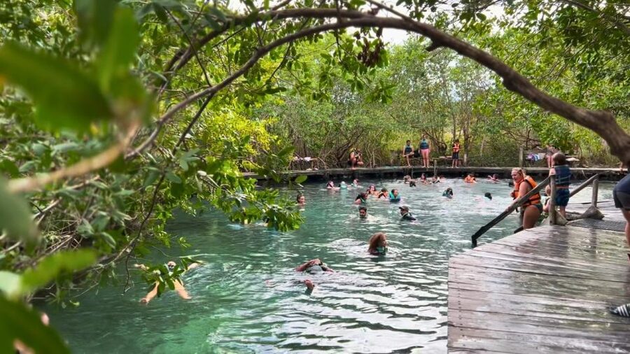 From Riviera Maya: Holbox Full-Day Tour with Lunch - Boat ride and lunch details that can change your expectations