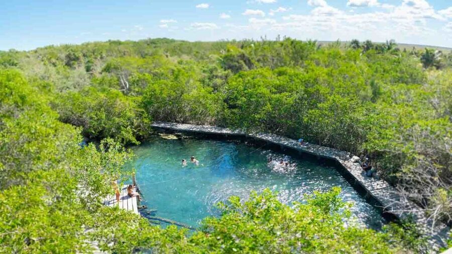 From Riviera Maya: Holbox Full-Day Tour with Lunch - Who this Holbox tour fits best, and who should skip it