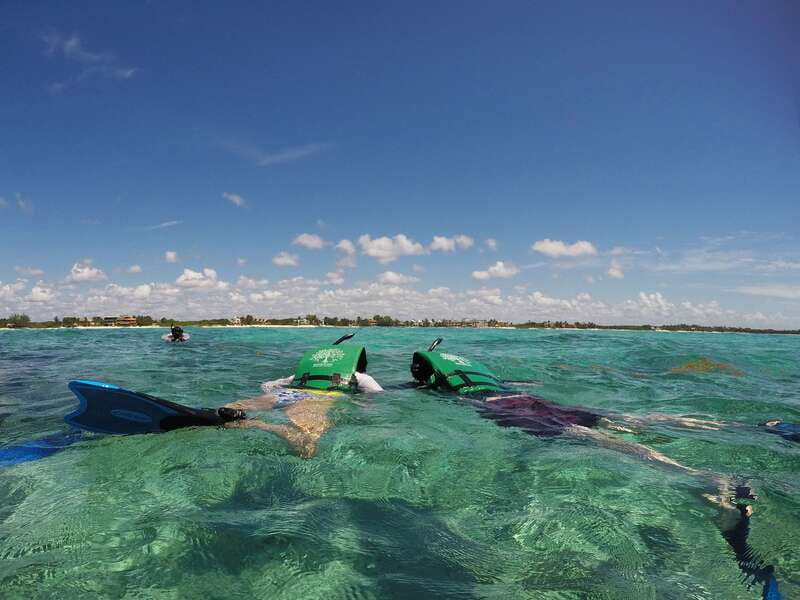 From Riviera Maya: Sian Ka'an Half Day Tour w/ Lunch - The Cenote Plan B: A Great Option When the Sea Won’t Play Nice