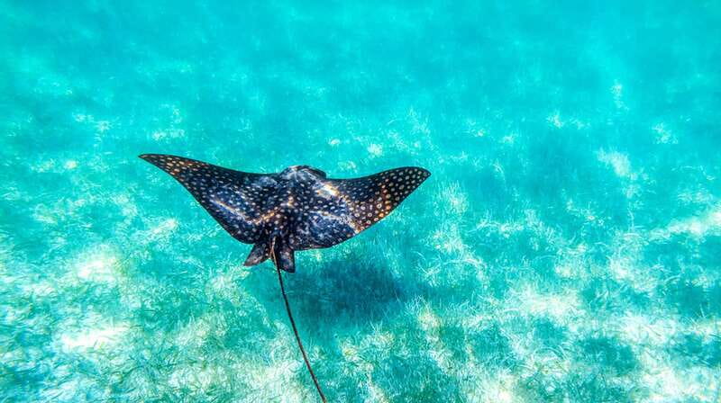 From Riviera Maya: Sian Ka'an Half Day Tour w/ Lunch - Who Should Book This Sian Kaan Tour, and Who Should Skip It