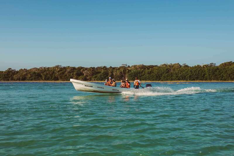 From Riviera Maya: Sian Ka'an Half Day Tour w/ Lunch - Boca Paila Lagoon by Small Boat: Mangroves, Saltwater Channels, and Animals