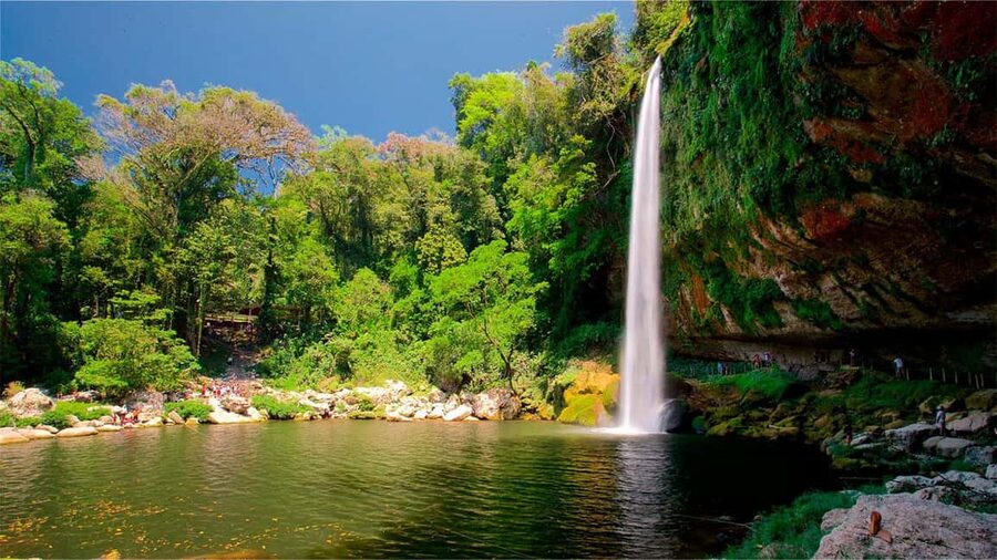 From San Cristóbal: Agua Azul and Palenque Day Trip - Misol-Ha: why the 30-meter jungle waterfall is a standout