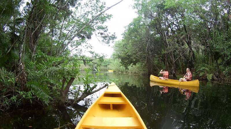From Tulum: Four-Cenote Adventure - Mayan Village Lunch After the Water: Real Food, Not Just Fuel