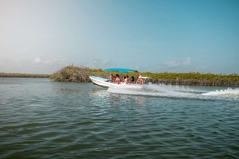 From Tulum: Sian Kaan Boat Trip Adventure with Lunch - Photo stop and swimming: the part that keeps the day feeling fun
