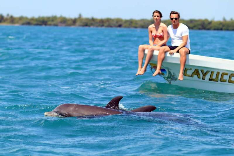 From Tulum: Sian Kaan Boat Trip Adventure with Lunch - Price check: what $254 buys you (and what it does not)