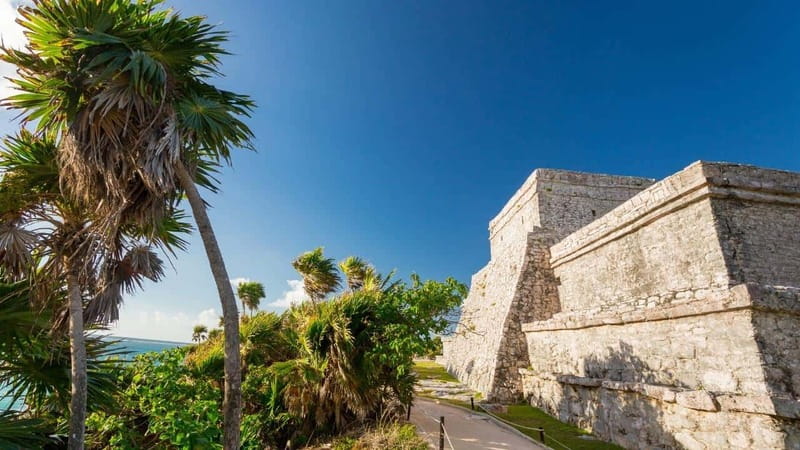 From Tulum: Tulum Ruins and 2 Cenotes Tour - From Starbucks Tulum DT to the van: the real start of your day