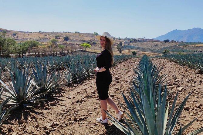 Full Day in Tequila with Tasting and party in Cantaritos - Value check: what you get for your full day