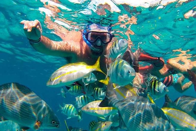 Full-Day Luxurious Catamaran Adventure - Cancún to Isla Mujeres - The Isla Mujeres Route: Playa Norte Swim Time and Downtown Freedom