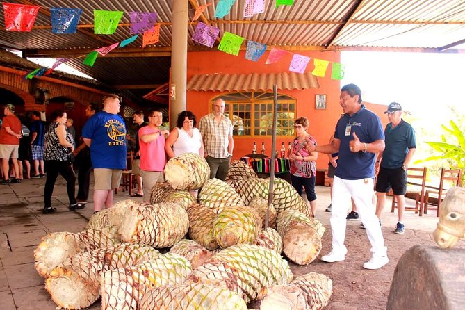 Full-Day Puerto Vallarta City Highlights Tour - Group size of 25: calmer than a big bus, but still a group day
