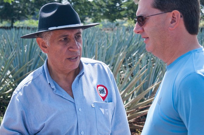 Full-Day Tequila Tour from Guadalajara - A Full-Day Tequila Reality Check From Guadalajara