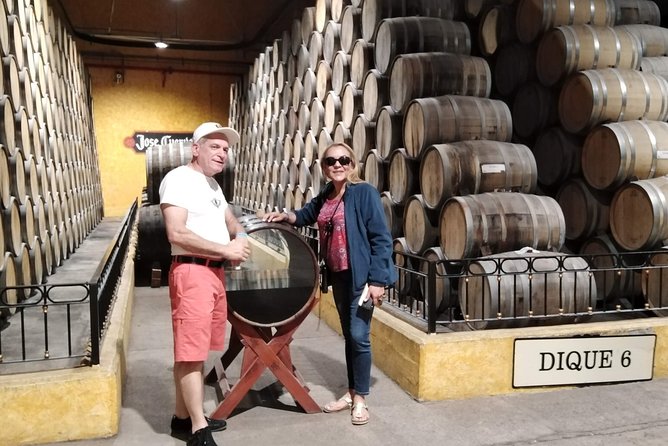 Full-Day Tequila Tour from Guadalajara - Tequila town time: lunch, shopping, and what to do with your free hours