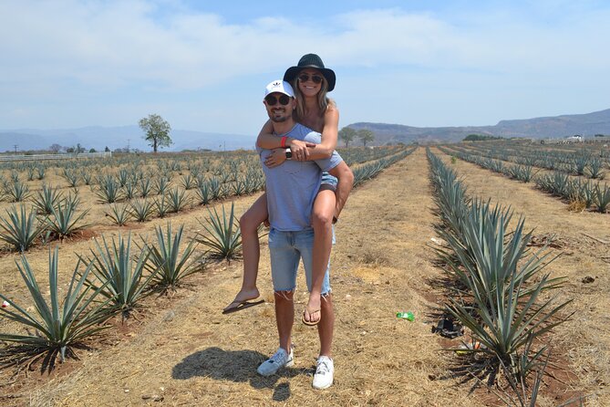 Full Day Tour to Tequila and Amatitán with Fun and Culture - Why this tequila route feels more like culture than a quick bar stop