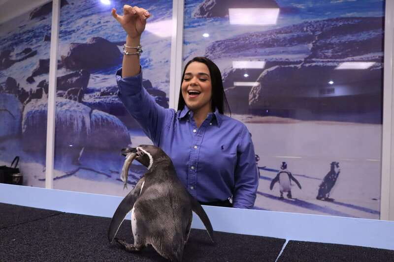 Gran Acuario Mazatlan - Key highlights to look for