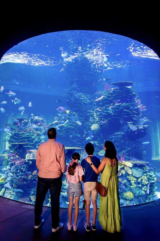 Gran Acuario Mazatlan - Crash tank and Coral City: the big moment early on