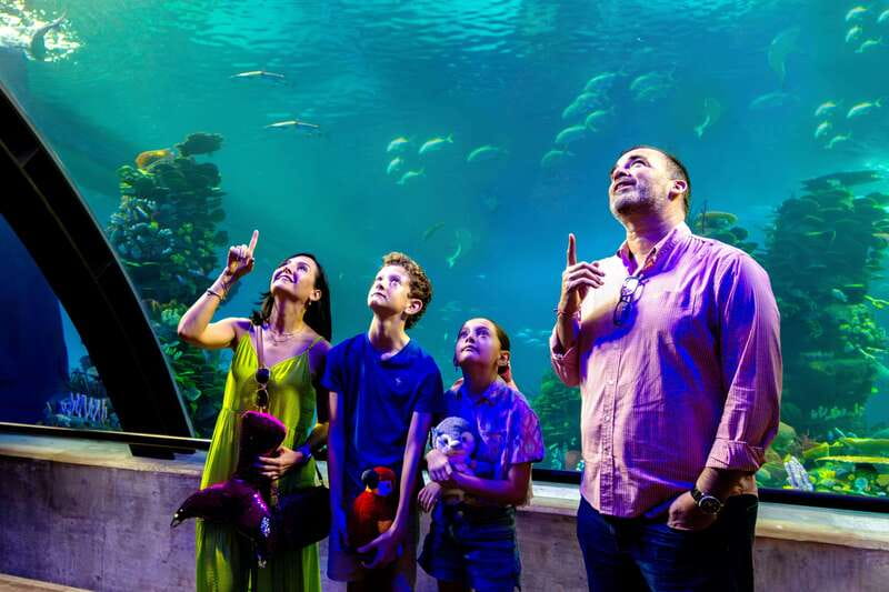 Gran Acuario Mazatlan - The Oceanic habitat and that 42 by 23 foot window