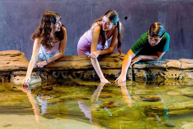 Gran Acuario Mazatlan - Bird theater, and why language matters more than you think