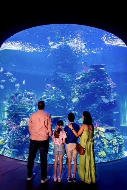 Gran Acuario Mazatlan - What’s included versus what costs extra
