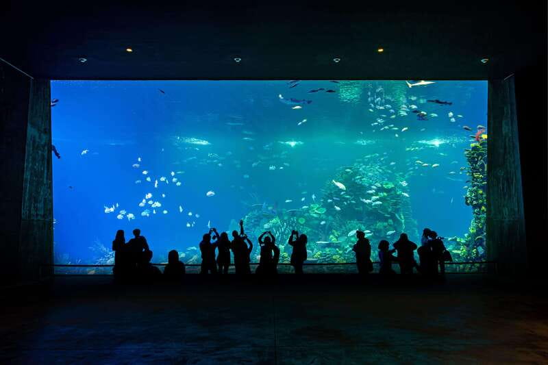 Gran Acuario Mazatlan - Start in the desert reptile zone, then walk the coast