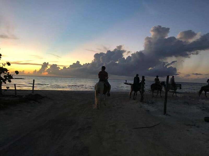 Group horseback ride on Holbox Island, Quintana Roo - Holbox by horse: Punta Siricote mangroves and a touch of beach